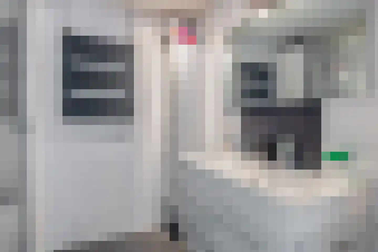 Snoekenveen 202 Spijkenisse thumbnail 24