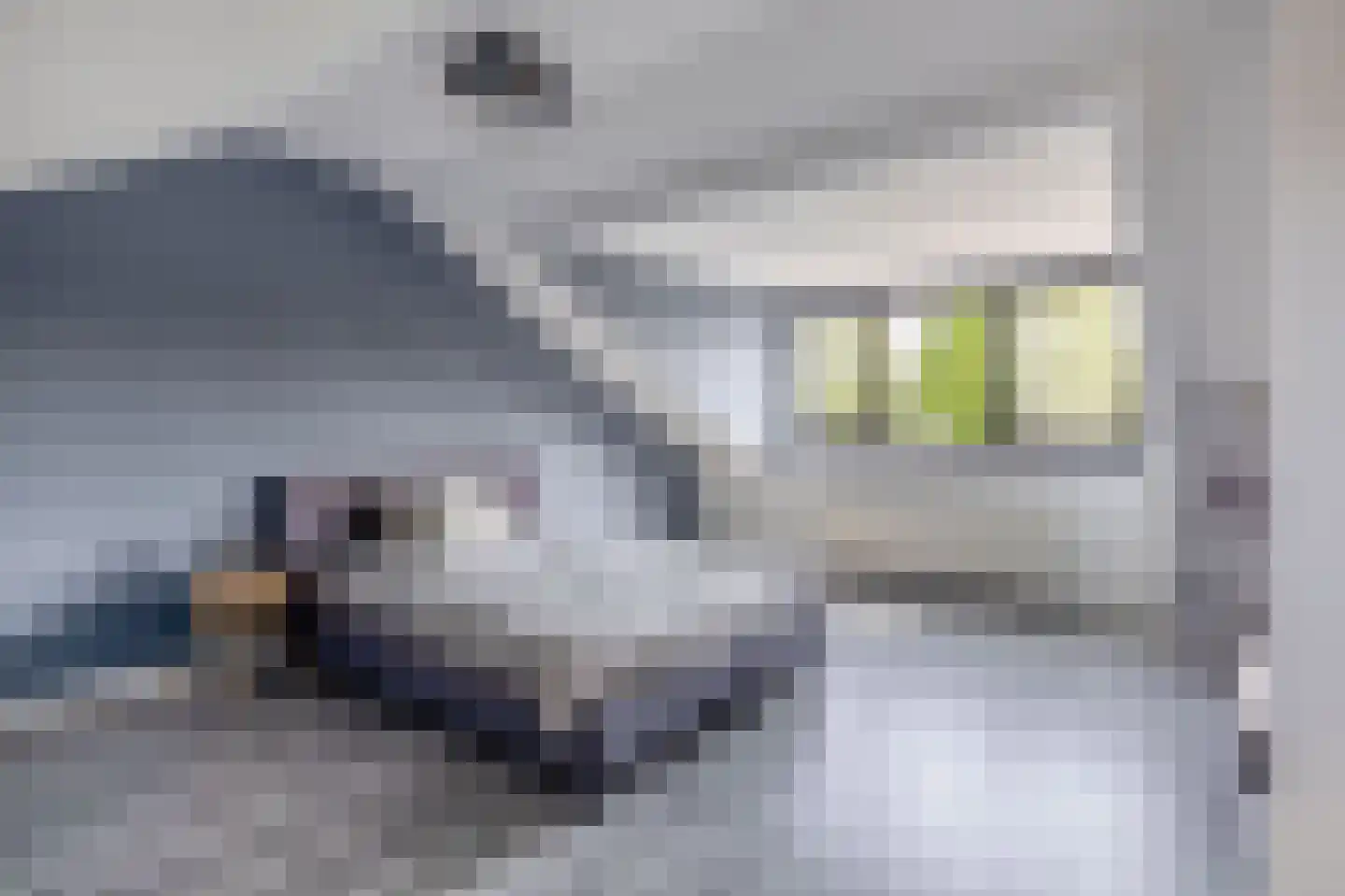 Snoekenveen 202 Spijkenisse thumbnail 26