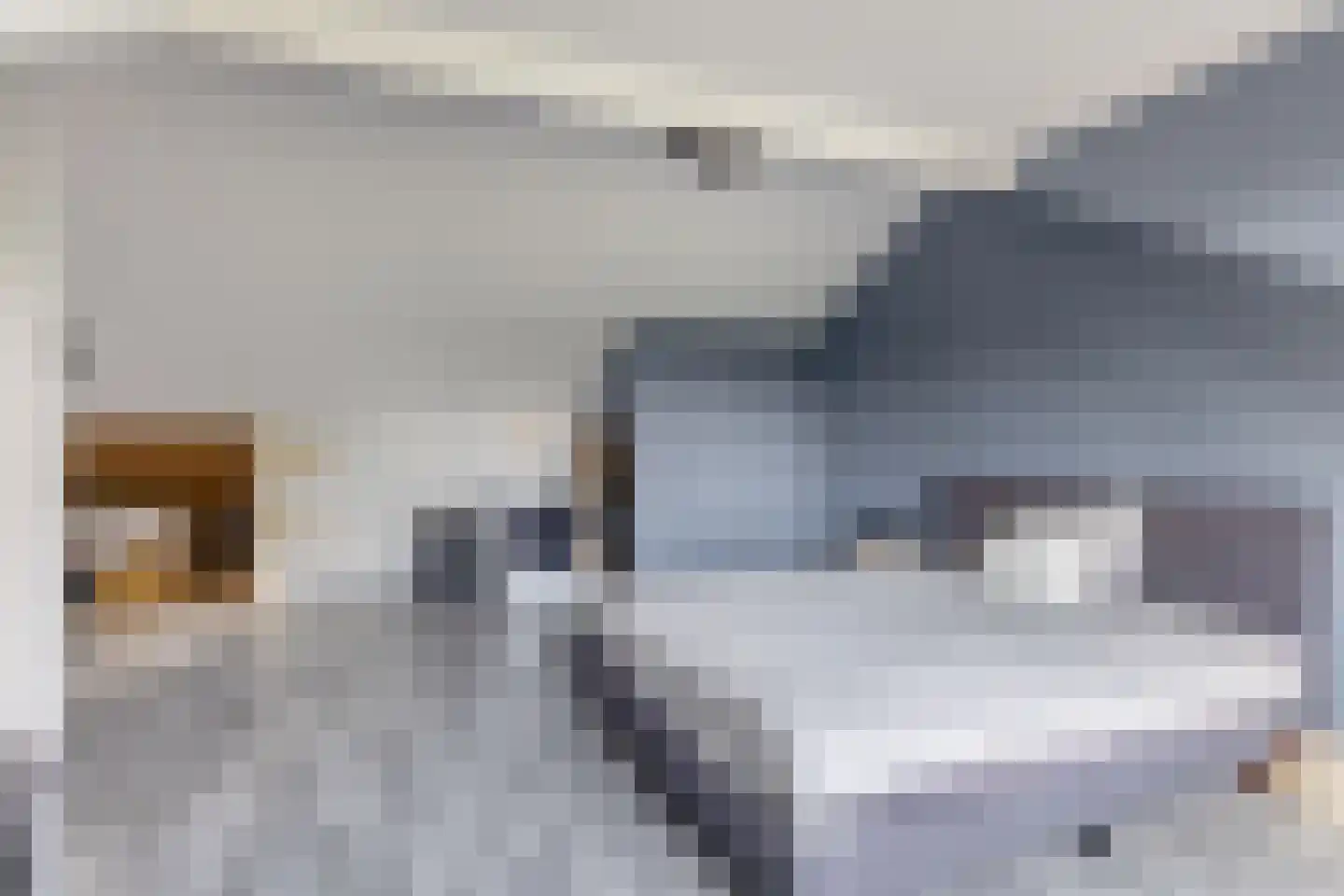 Snoekenveen 202 Spijkenisse thumbnail 27