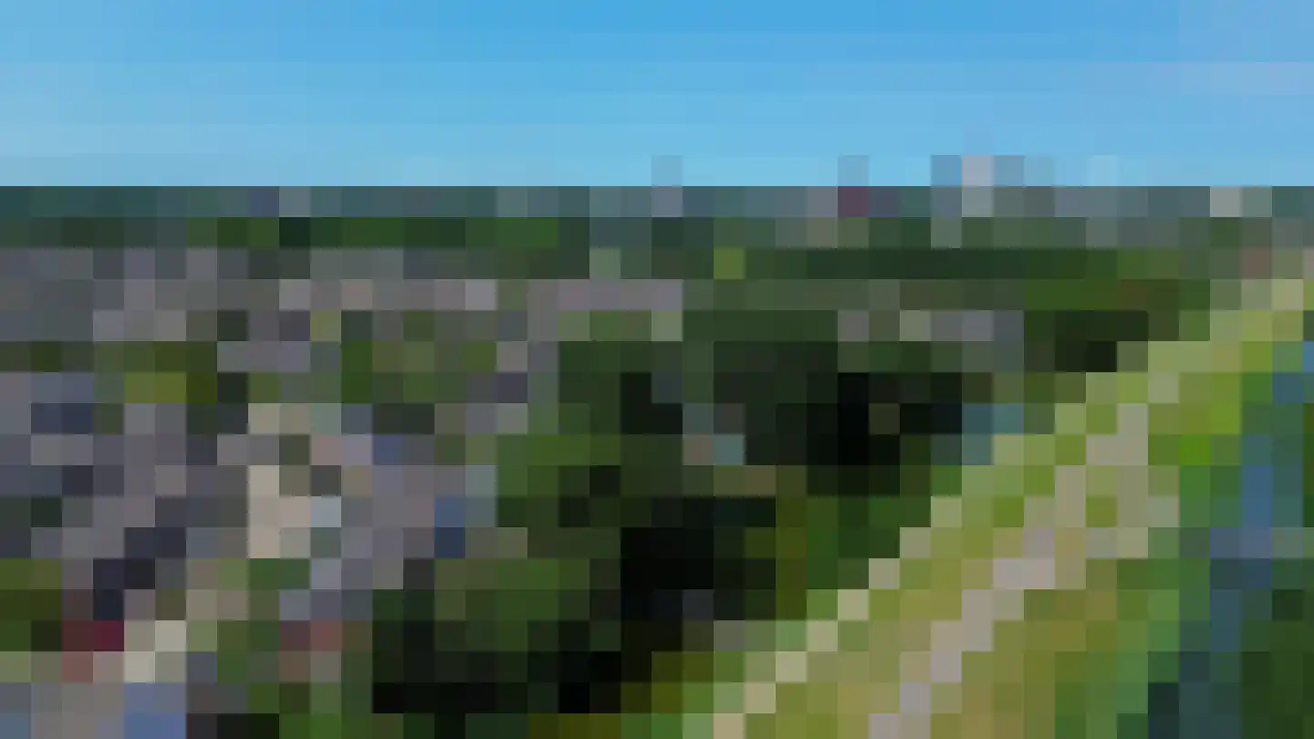 Snoekenveen 202 Spijkenisse thumbnail 34