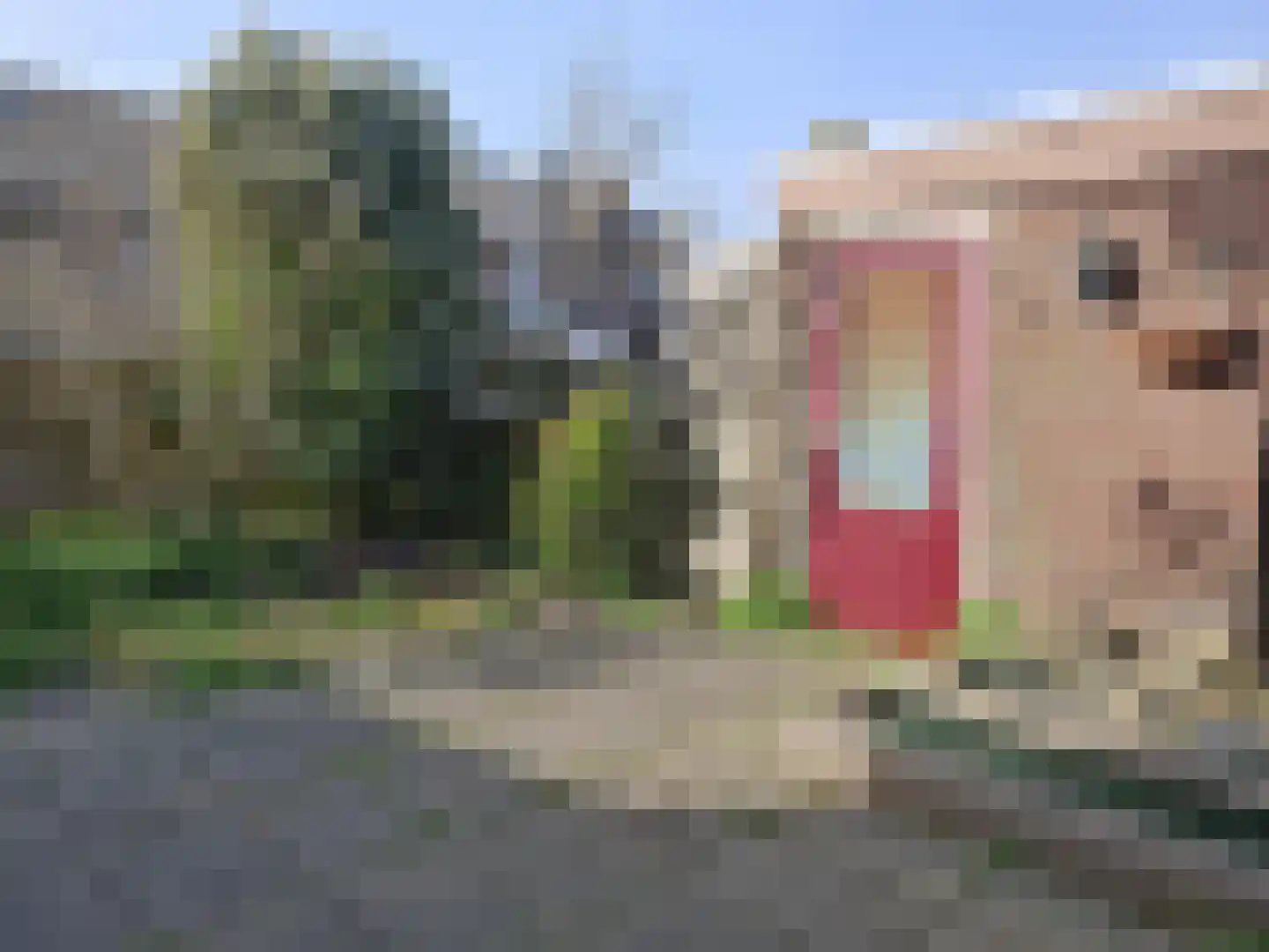 Snoekenveen 211 Spijkenisse thumbnail 13