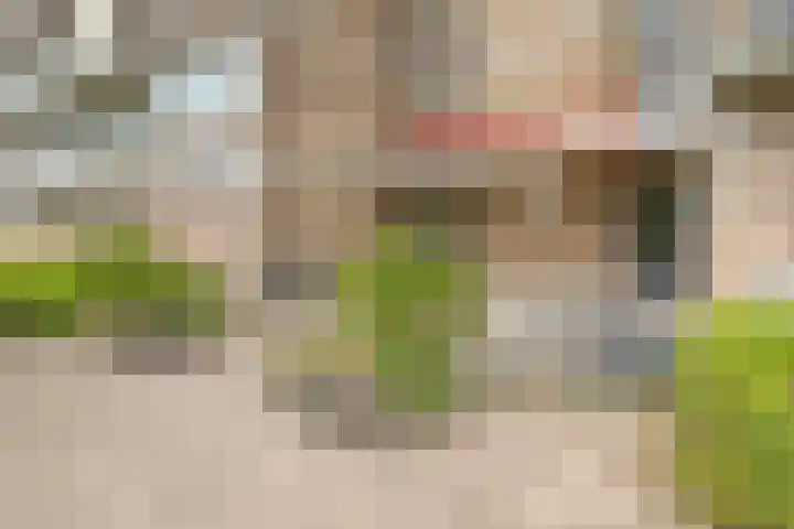 Snoekenveen 216 Spijkenisse thumbnail 13