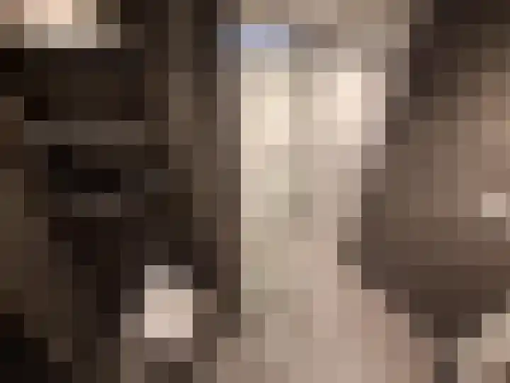 Snoekenveen 216 Spijkenisse thumbnail 18