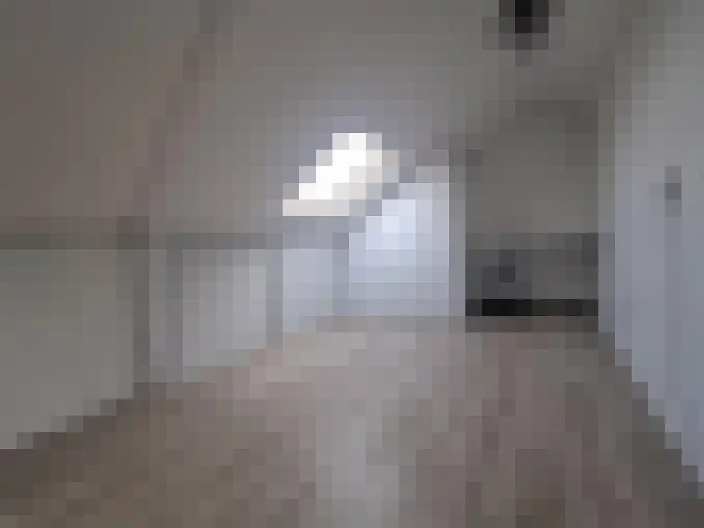 Snoekenveen 216 Spijkenisse thumbnail 19