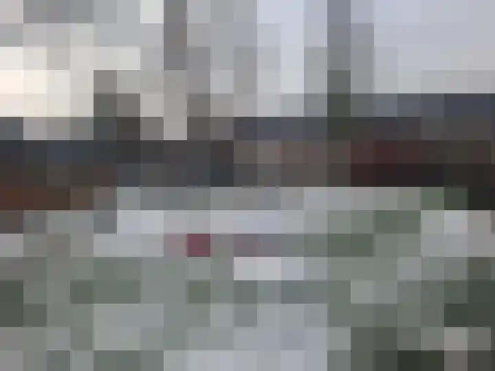 Snoekenveen 216 Spijkenisse thumbnail 9