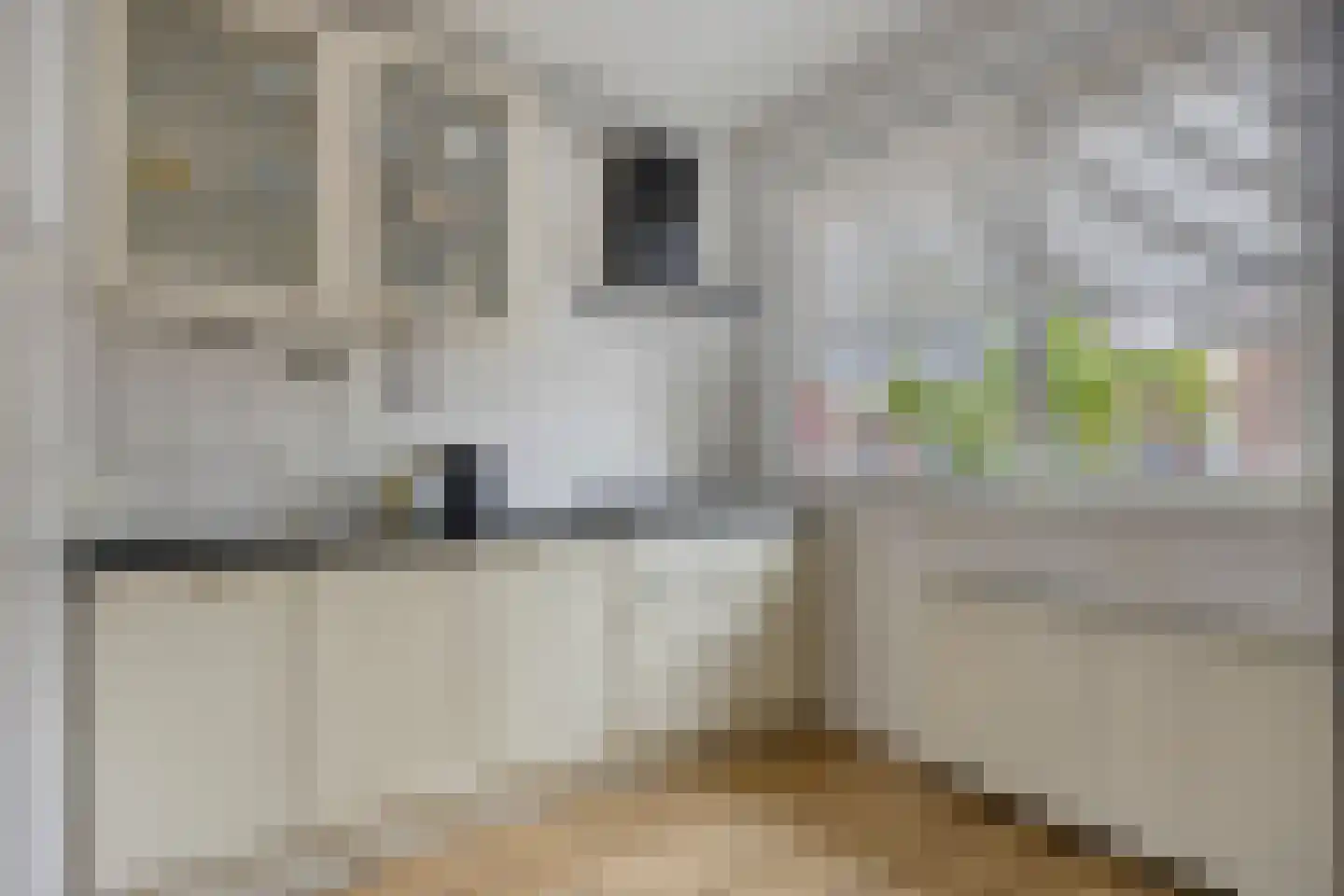 Snoekenveen 218 Spijkenisse thumbnail 5