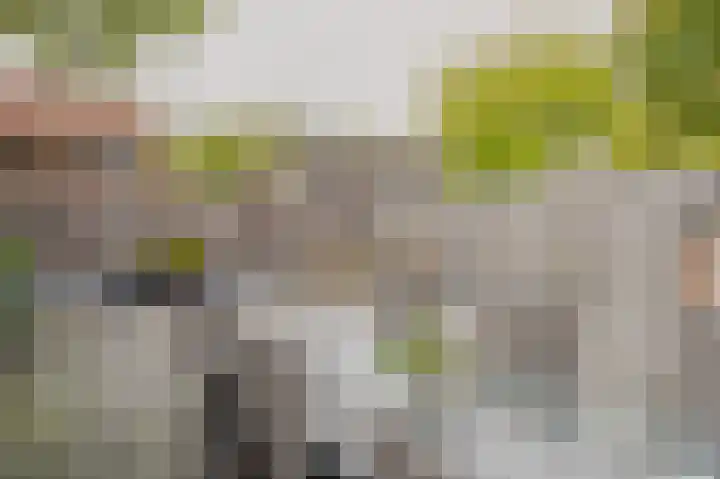 Snoekenveen 862 Spijkenisse thumbnail 17