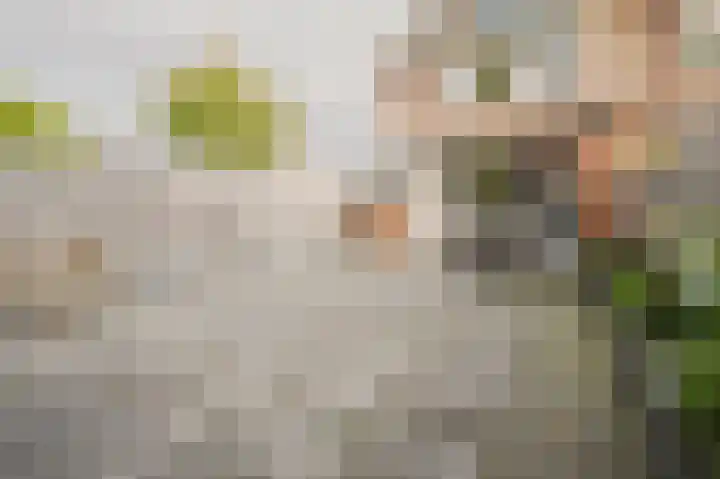 Snoekenveen 862 Spijkenisse thumbnail 18