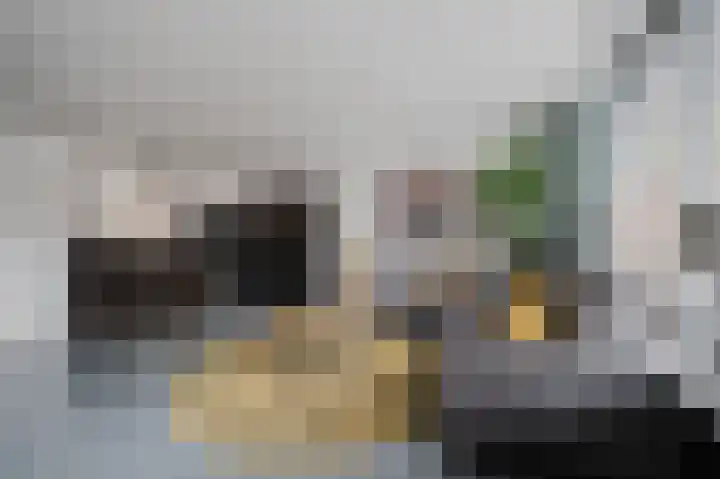 Snoekenveen 862 Spijkenisse thumbnail 9