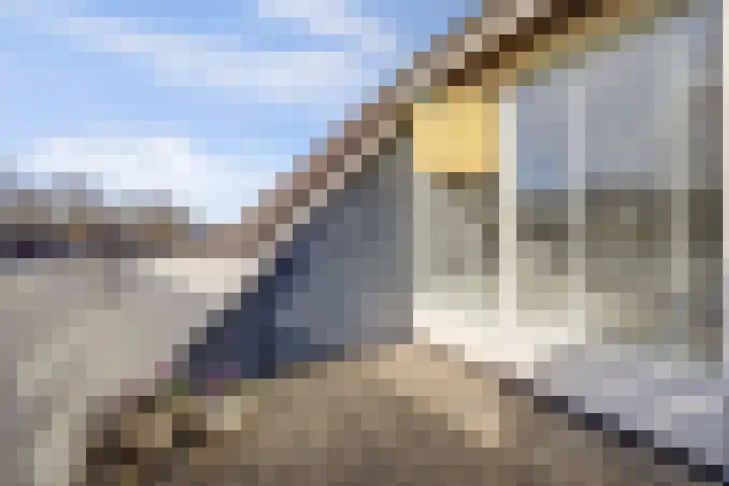 Snoekenveen 864 Spijkenisse thumbnail 11