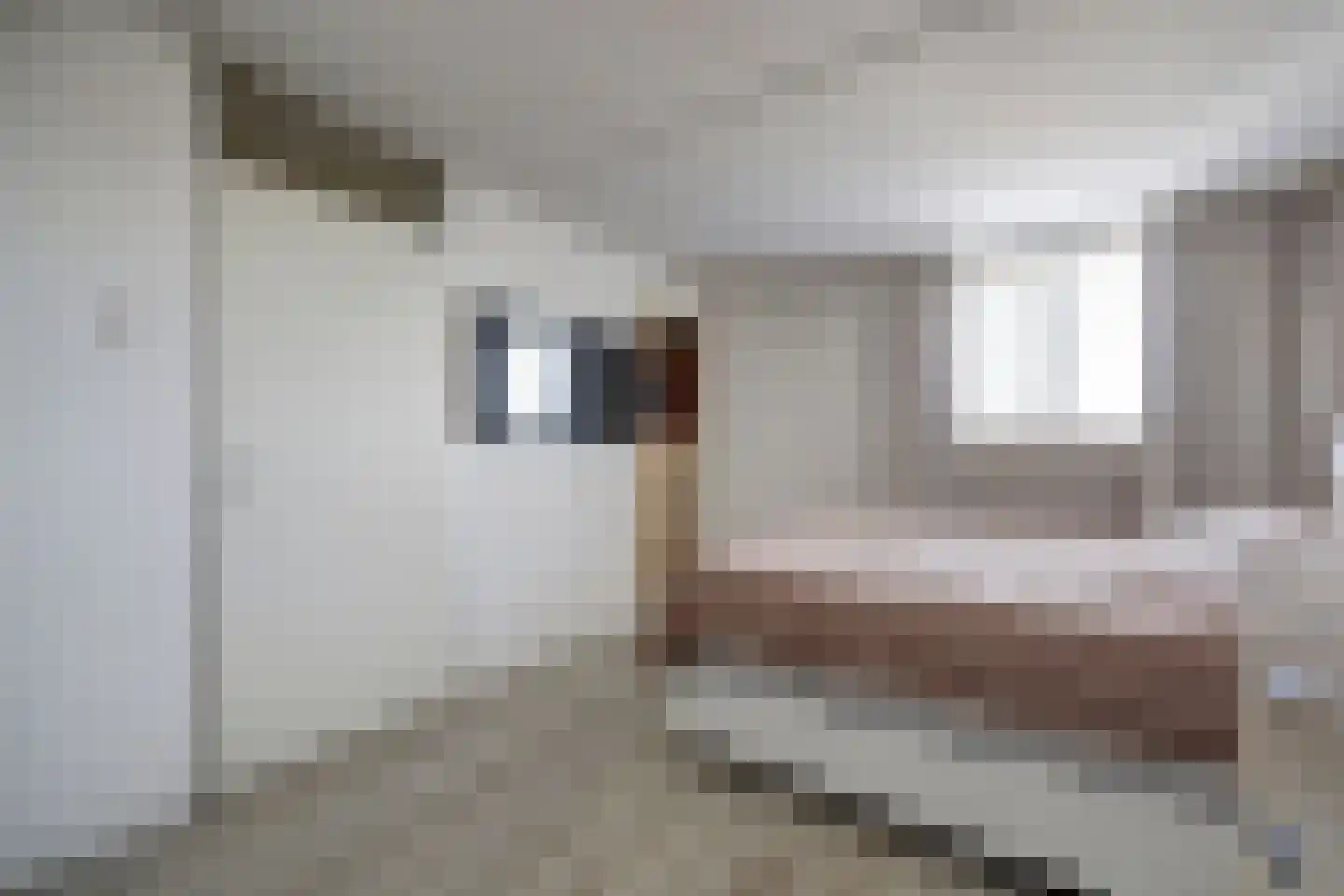 Snoekenveen 864 Spijkenisse thumbnail 17