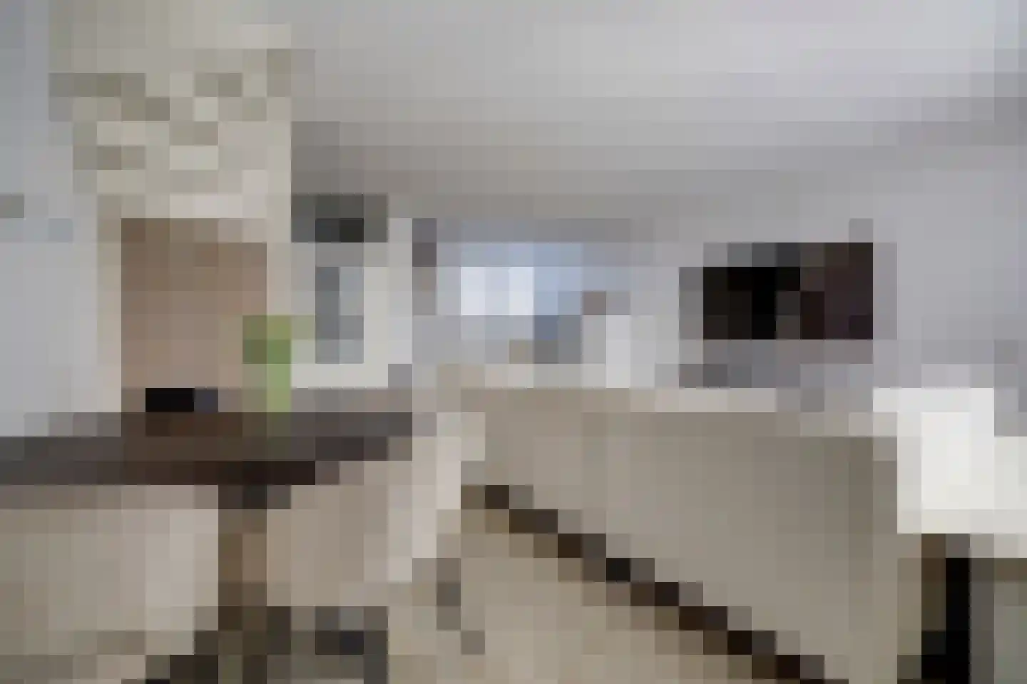 Snoekenveen 864 Spijkenisse thumbnail 6