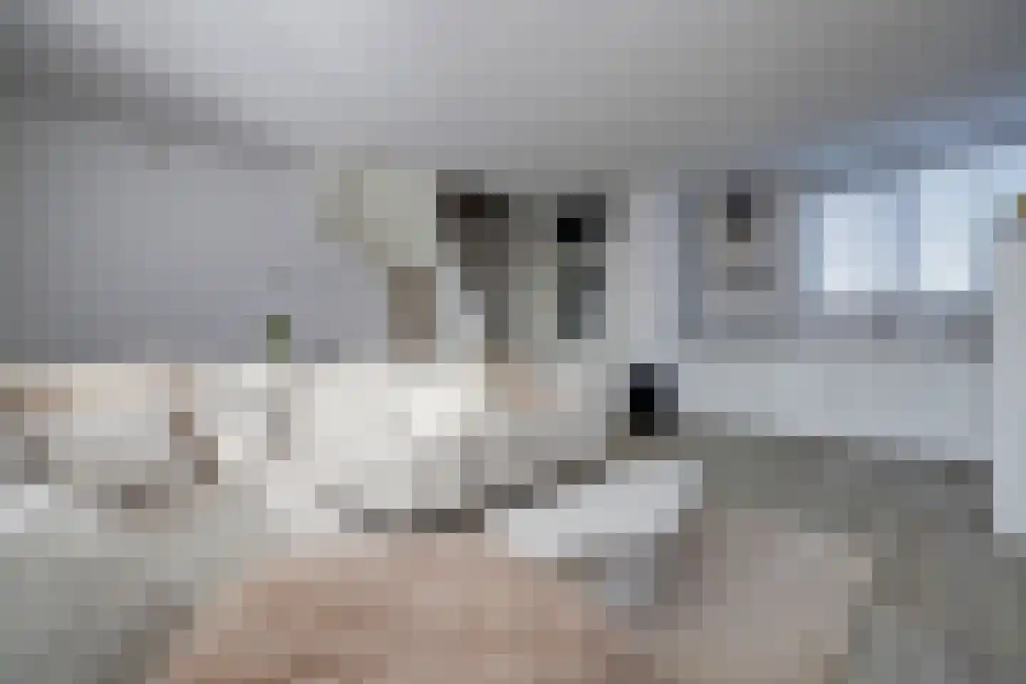 Snoekenveen 864 Spijkenisse thumbnail 7