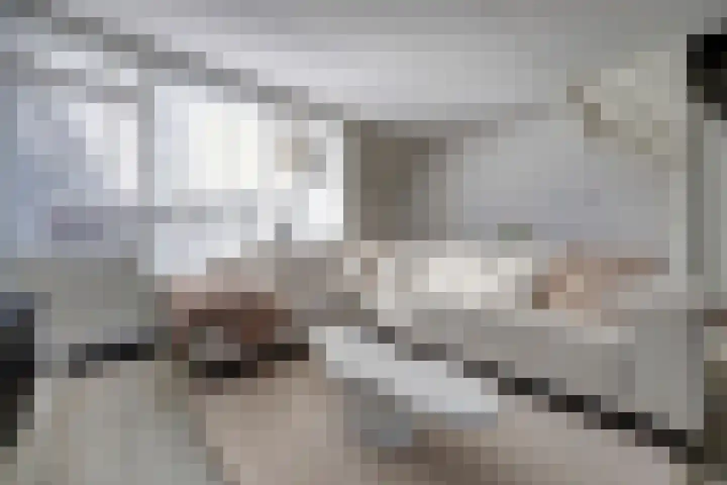 Snoekenveen 864 Spijkenisse thumbnail 9