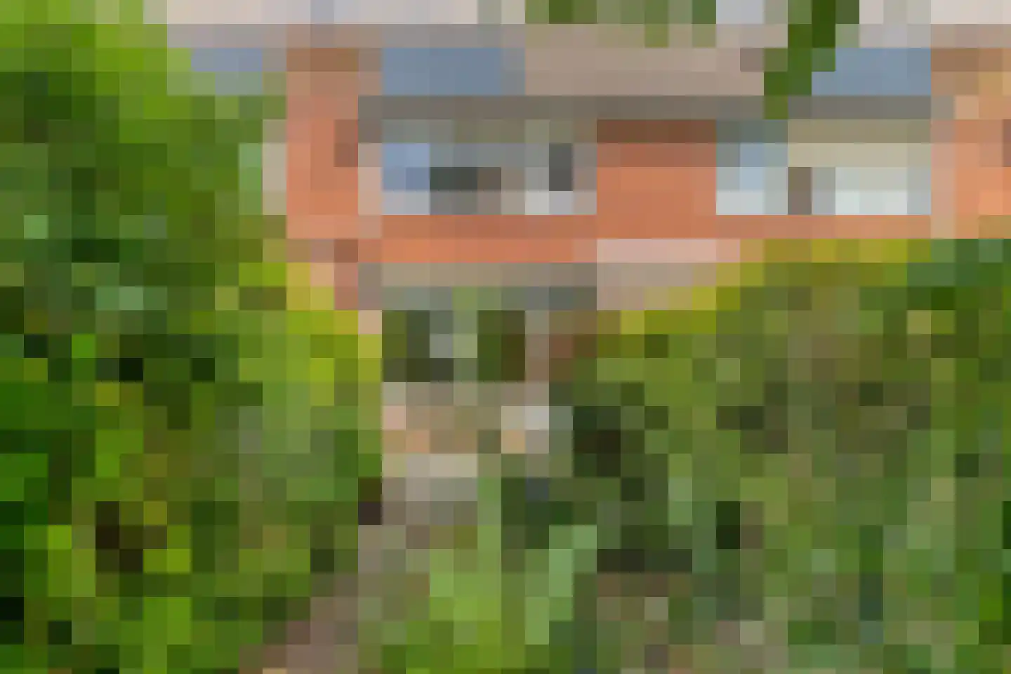 Snoekenveen 882 Spijkenisse thumbnail 22