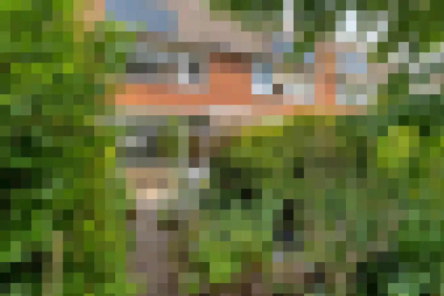 Snoekenveen 882 Spijkenisse thumbnail 23