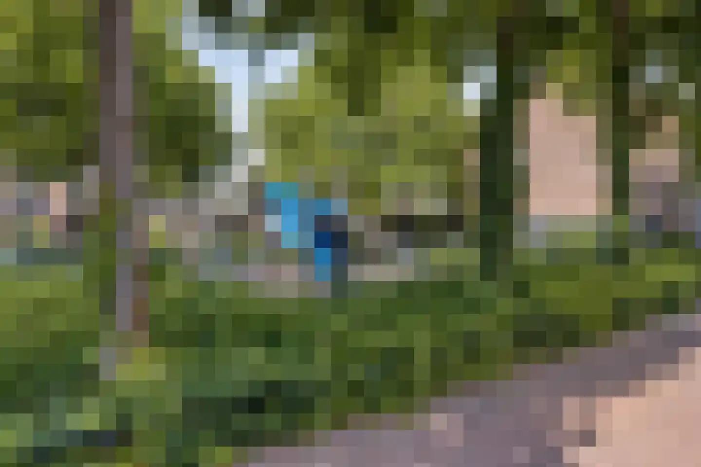 Snoekenveen 882 Spijkenisse thumbnail 31