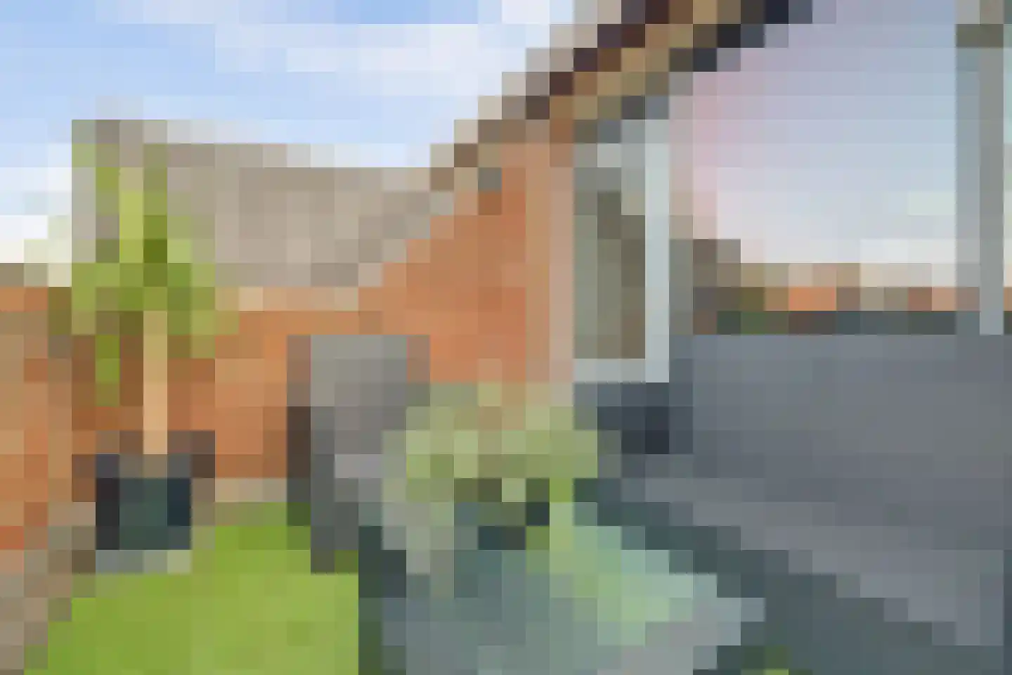 Snoekenveen 886 Spijkenisse thumbnail 11