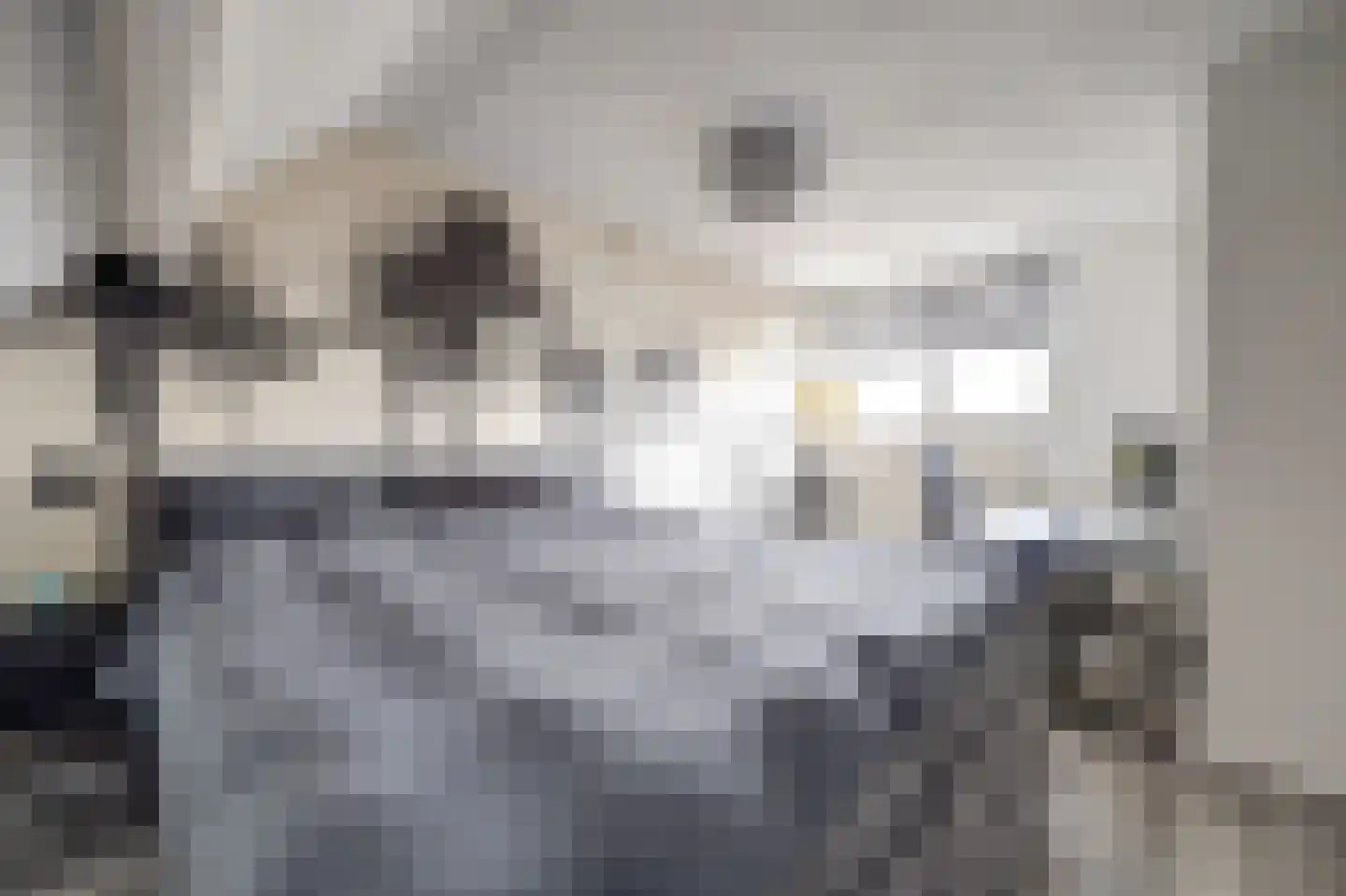 Snoekenveen 886 Spijkenisse thumbnail 13