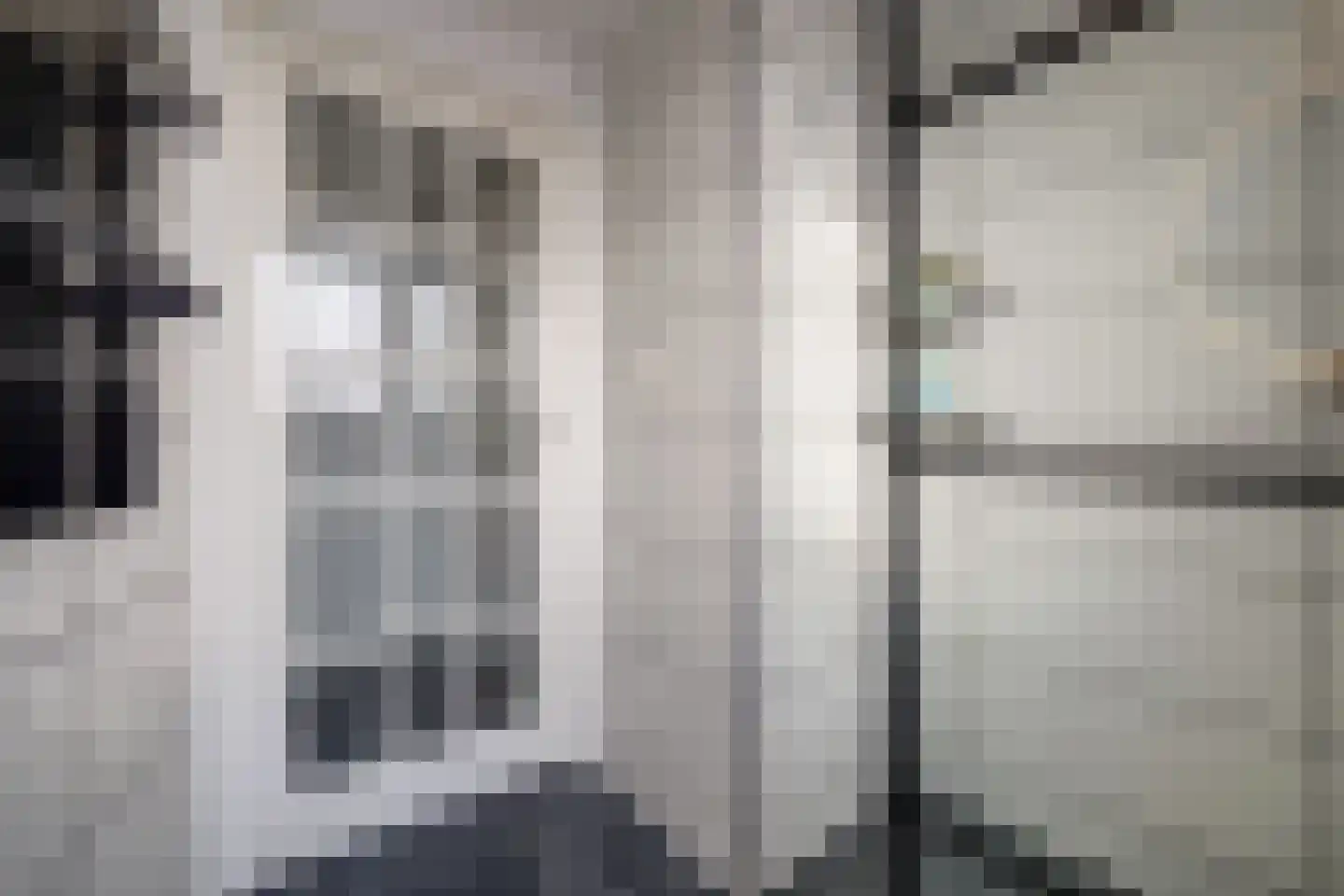 Snoekenveen 886 Spijkenisse thumbnail 15