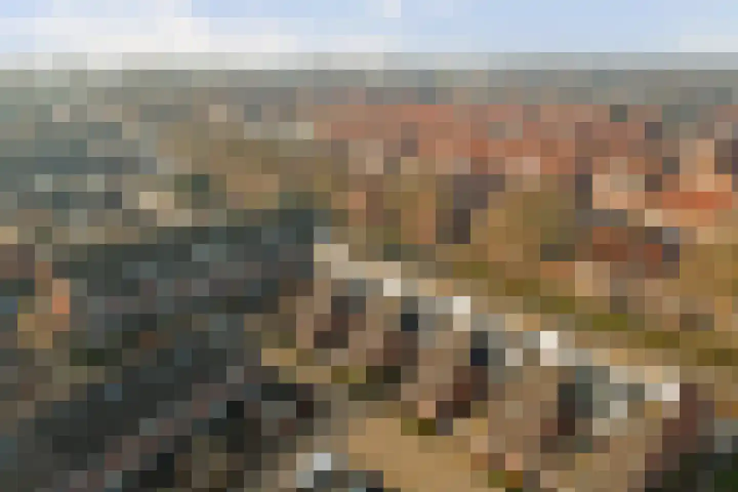 Snoekenveen 886 Spijkenisse thumbnail 22