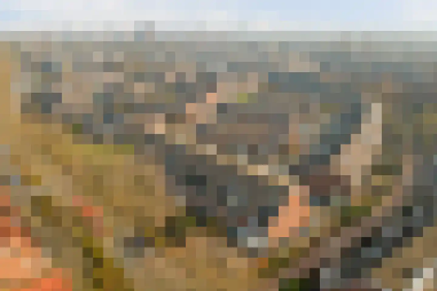 Snoekenveen 886 Spijkenisse thumbnail 24