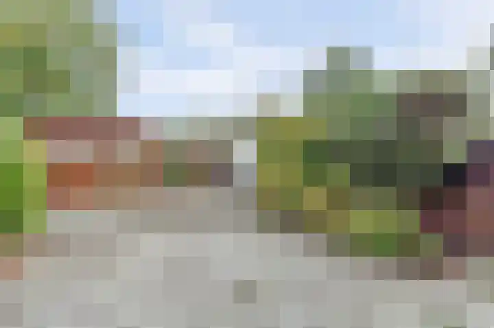 Snoekenveen 965 Spijkenisse thumbnail 11