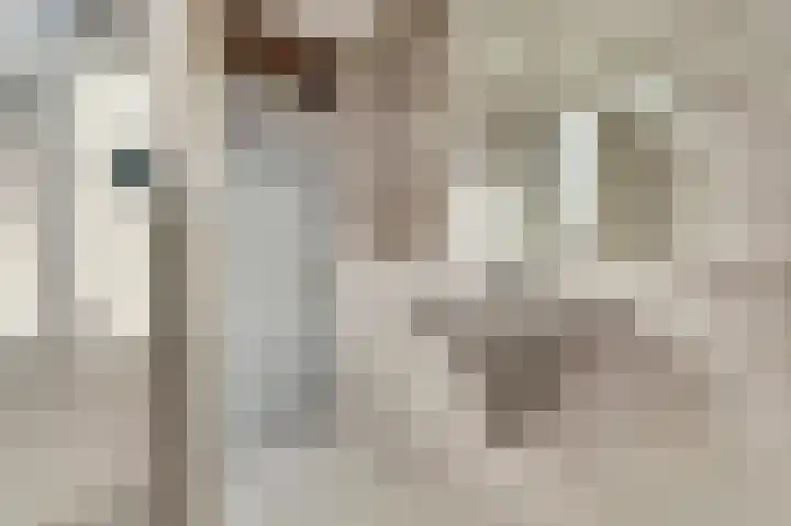 Snoekenveen 965 Spijkenisse thumbnail 16