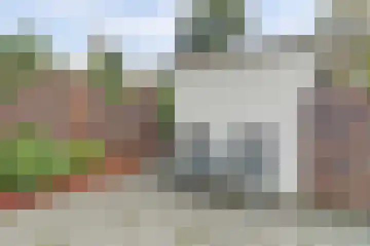 Snoekenveen 965 Spijkenisse thumbnail 32