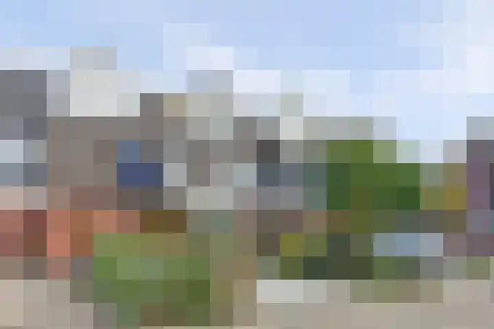 Snoekenveen 965 Spijkenisse thumbnail 35