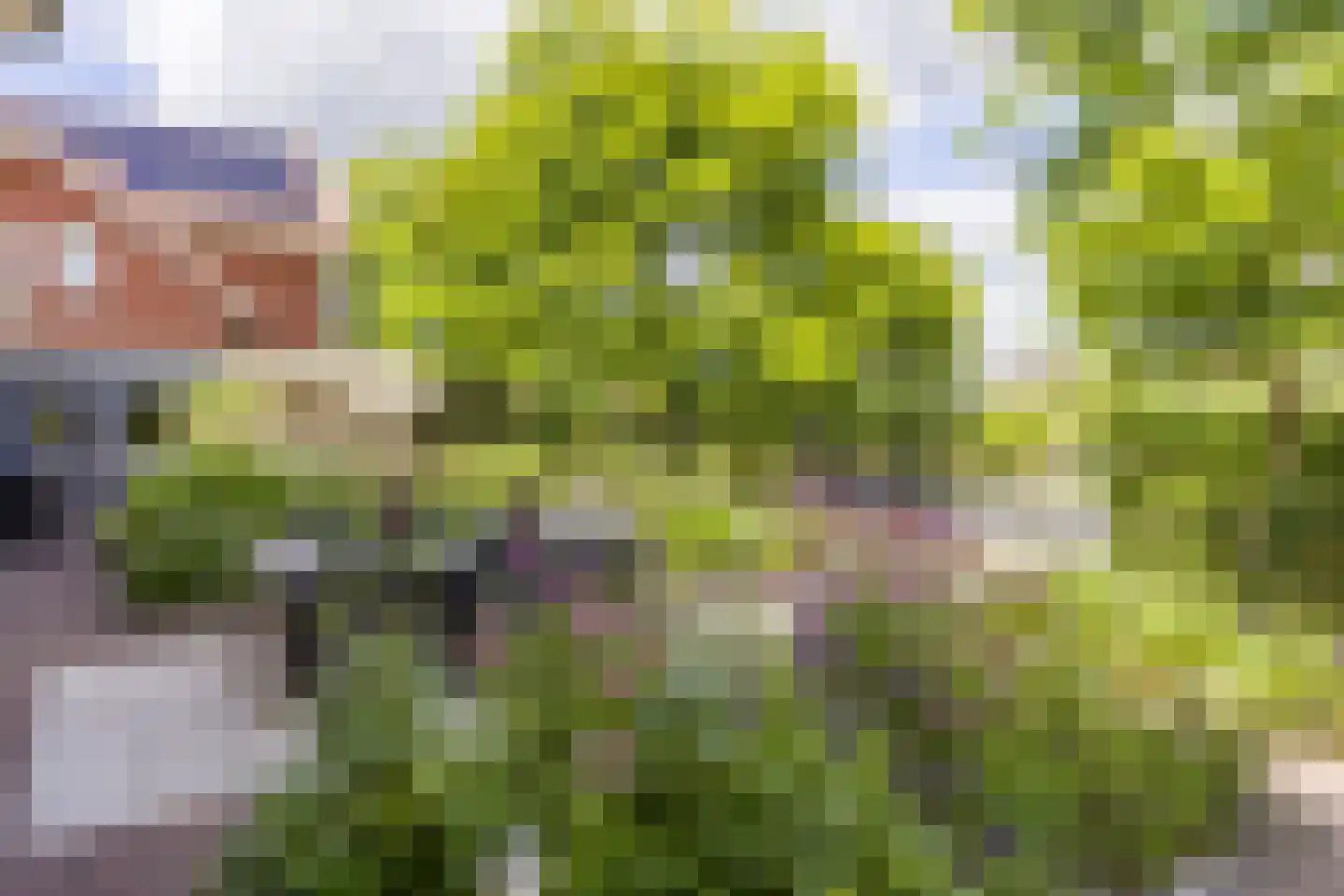 Snoekgracht 26 Beuningen Gld thumbnail 55