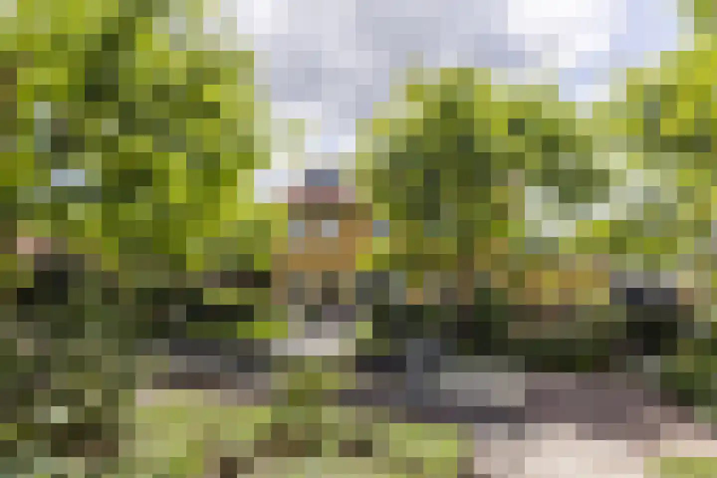 Snoekgracht 26 Beuningen Gld thumbnail 66