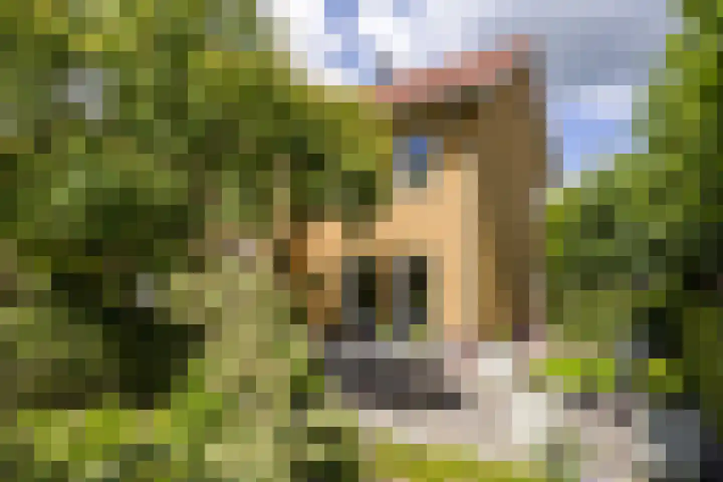 Snoekgracht 26 Beuningen Gld thumbnail 69
