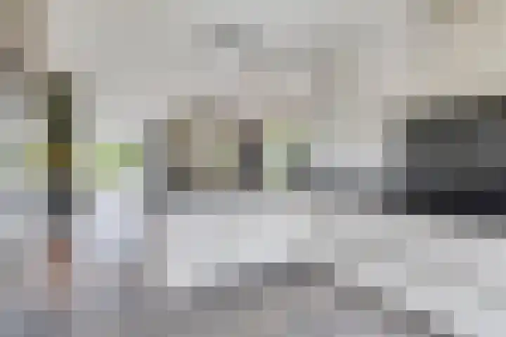 Snoekgracht 28 Beuningen Gld thumbnail 12