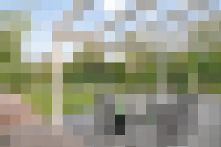 Snoekgracht 28 Beuningen Gld thumbnail 5