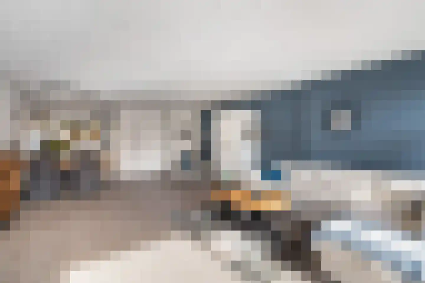 Snoeklaan 102 Voorhout thumbnail 12
