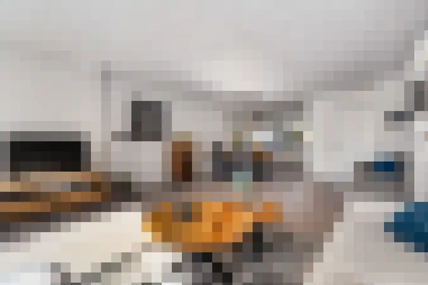 Snoeklaan 102 Voorhout thumbnail 13
