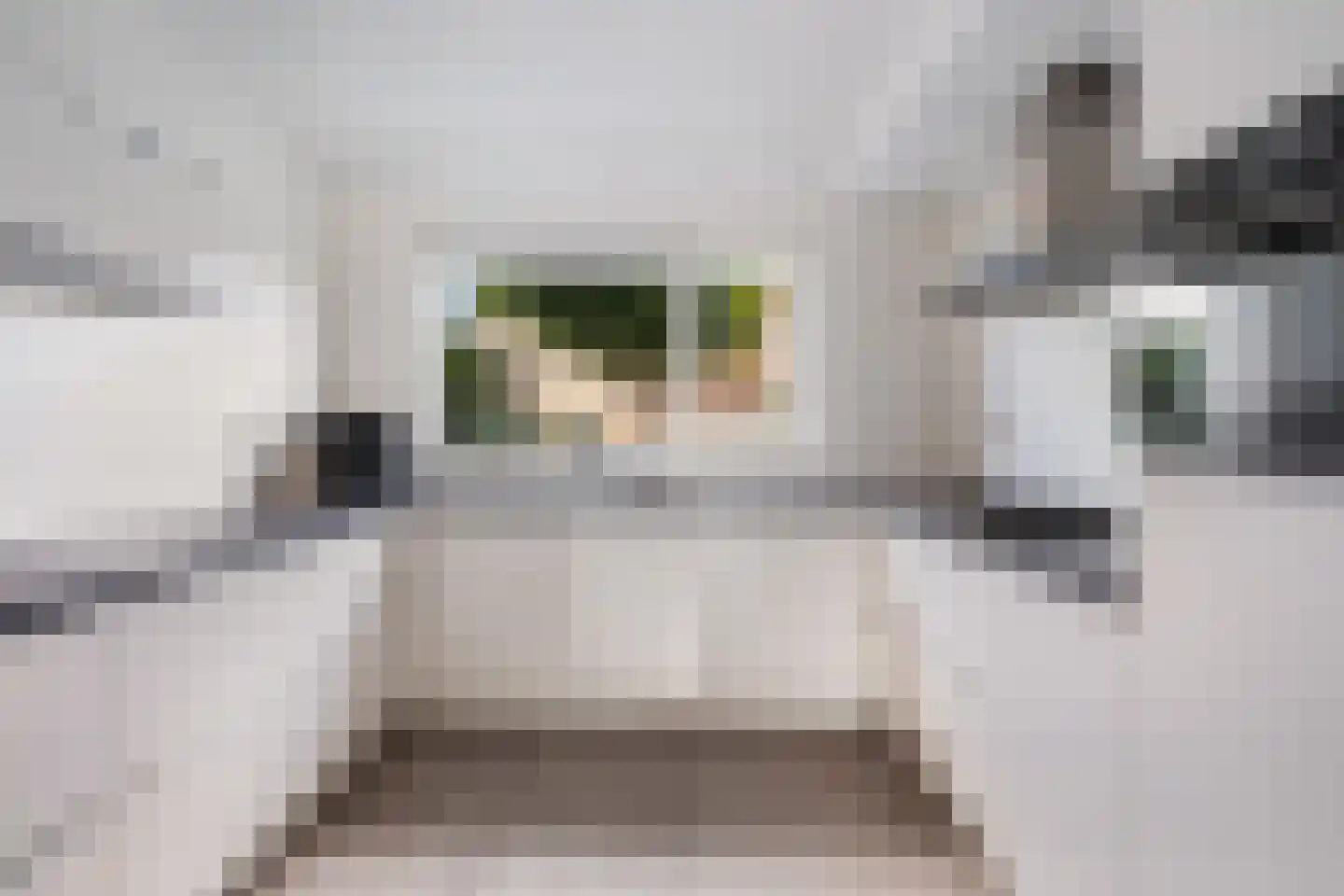 Snoeklaan 102 Voorhout thumbnail 14
