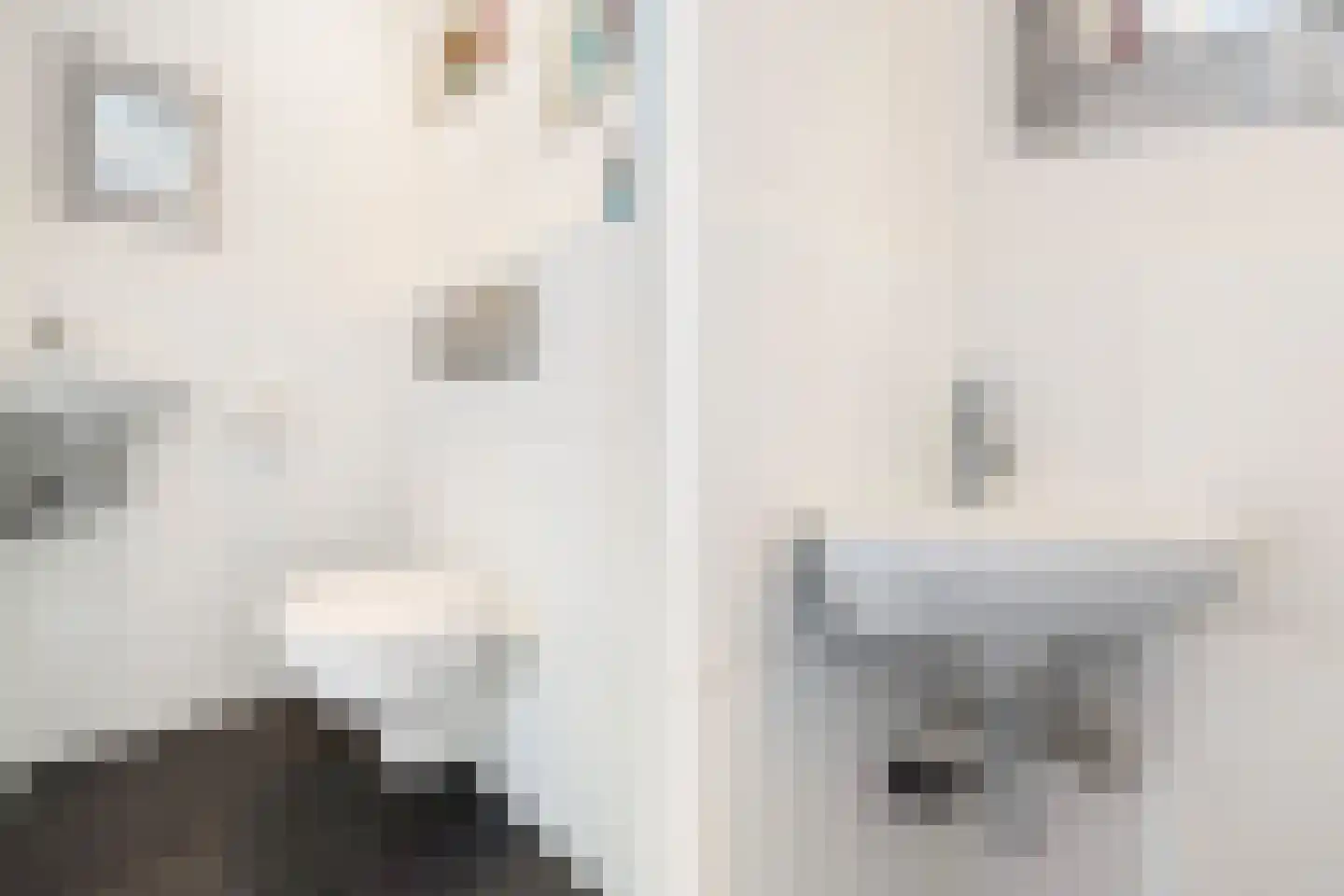 Snoeklaan 102 Voorhout thumbnail 22