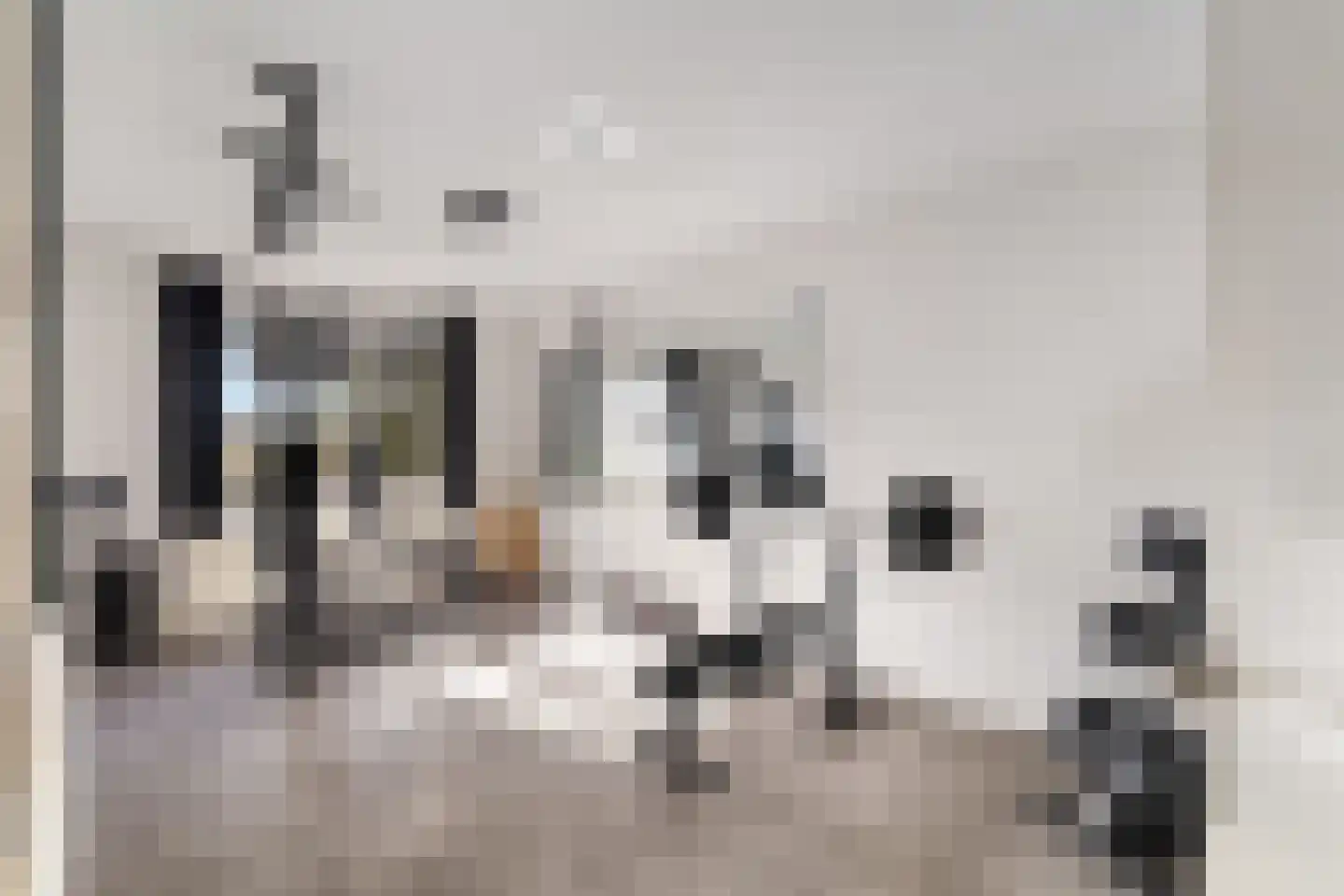 Snoeklaan 102 Voorhout thumbnail 24