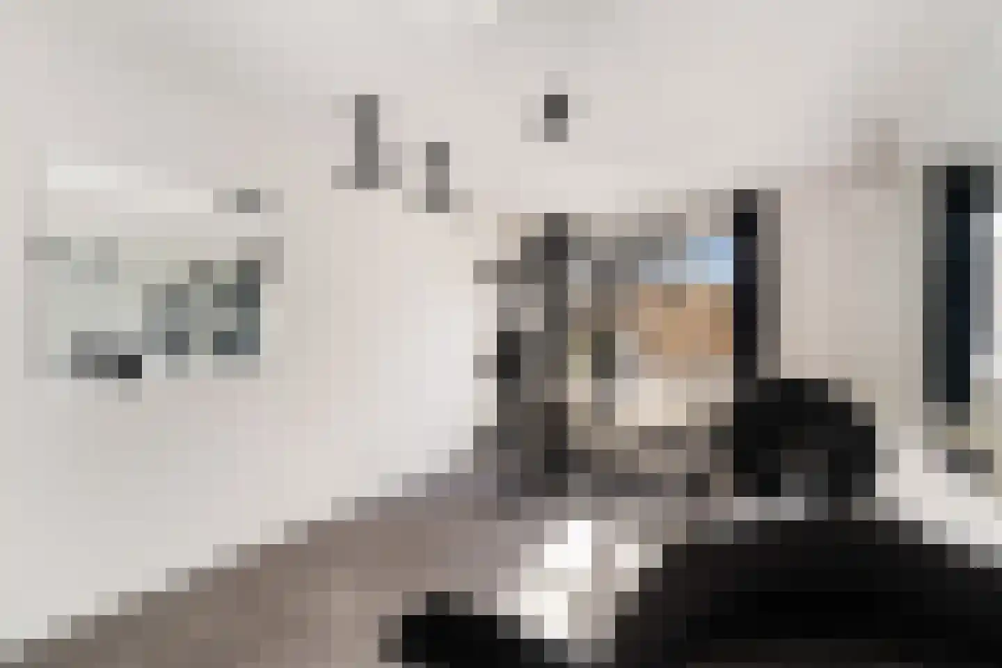 Snoeklaan 102 Voorhout thumbnail 25