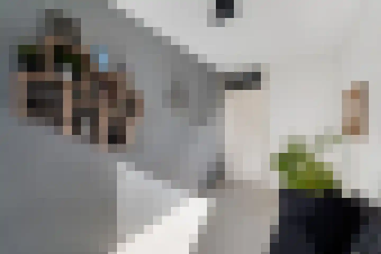 Snoeklaan 102 Voorhout thumbnail 30