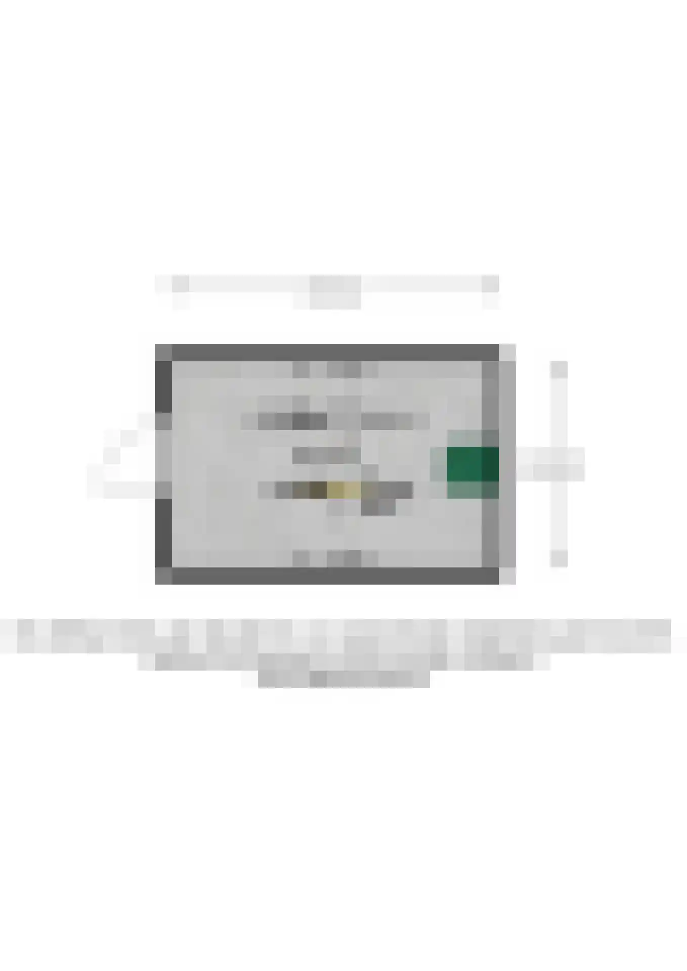 Snoeklaan 102 Voorhout thumbnail 43