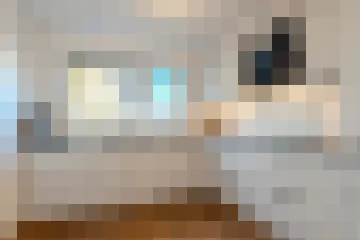 Snoeklaan 114 Voorhout thumbnail 12