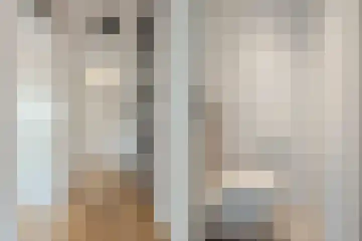 Snoeklaan 114 Voorhout thumbnail 28