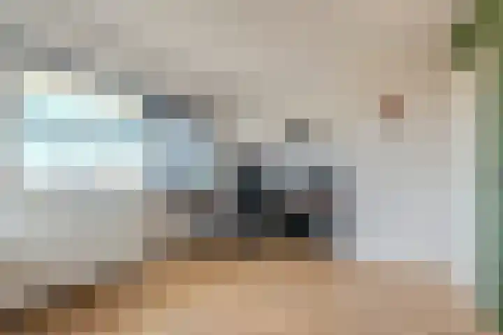 Snoeklaan 114 Voorhout thumbnail 31