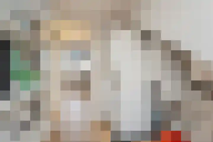 Snoeklaan 114 Voorhout thumbnail 35
