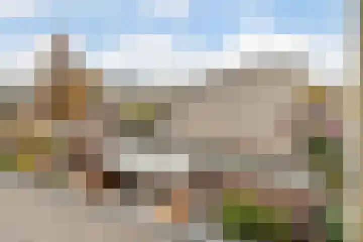 Snoeklaan 114 Voorhout thumbnail 40