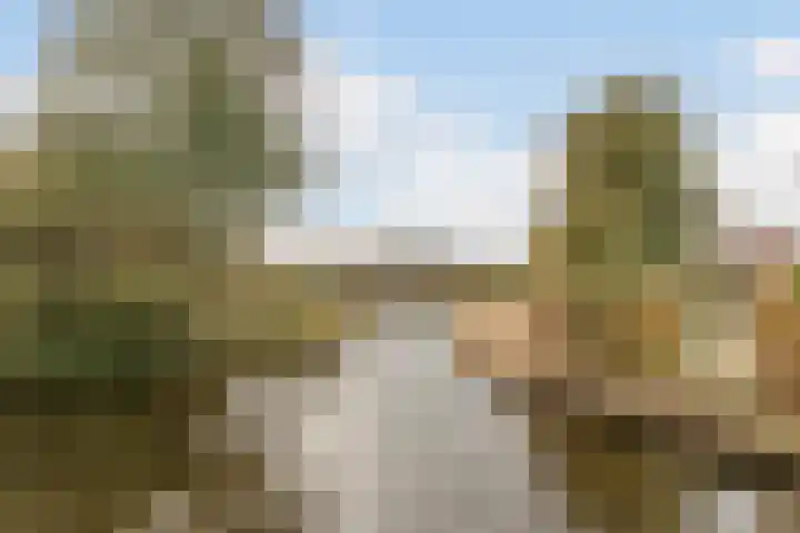 Snoeklaan 114 Voorhout thumbnail 47