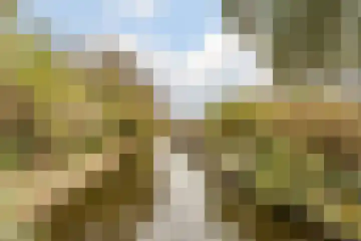 Snoeklaan 114 Voorhout thumbnail 48